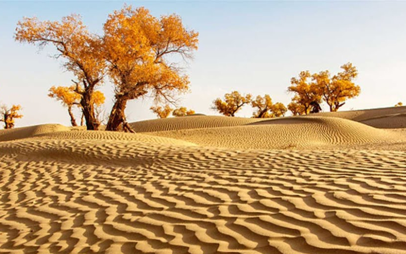 నేల ఎడారీకరణ సంక్షోభం రానుందా!