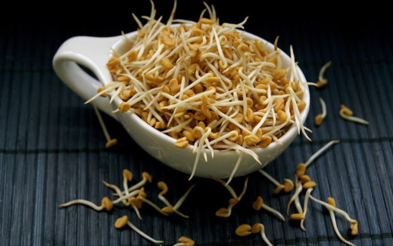 Health Tips: మొలకెత్తిన మెంతులు షుగర్ ట్యాబ్లెట్ తో సమానమా..? రీసెర్చ్ లో బయటపడ్డ సంచలన విషయాలు ఇవే…